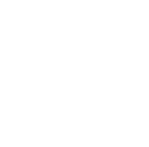 PremierPartner-wit